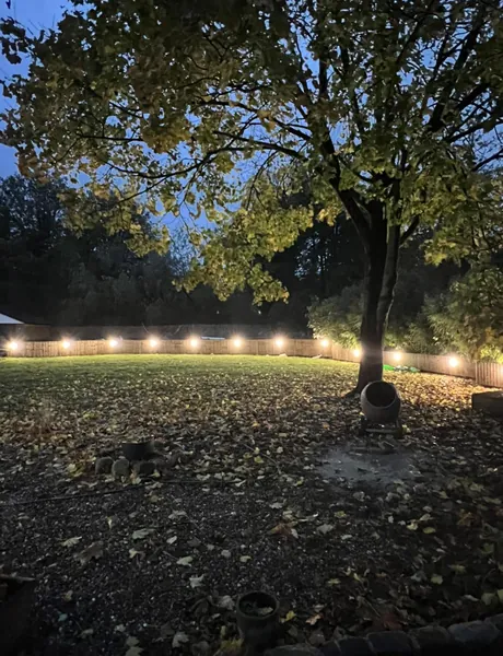 Garden festoon lighting installed under a tree in Preston